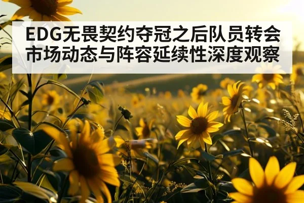 EDG无畏契约夺冠之后队员转会市场动态与阵容延续性深度观察